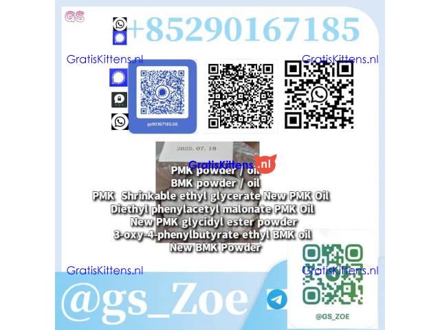 High-Purity Dual Ester Blend: PMK & BMK (CAS 718-08-1) for Research Labs