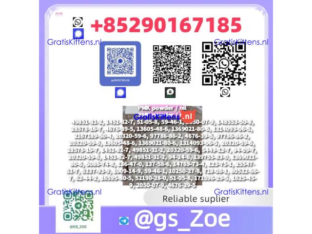 One Package, Two Essentials: PMK + BMK, Top Purity (CAS 718-08-1)