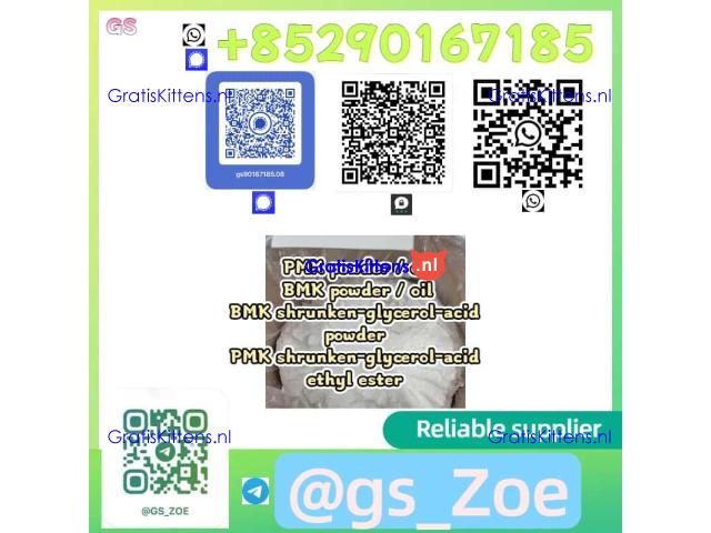 Laboratory-Grade PMK / BMK in Oil or Powder Form (CAS 718-08-1), ≥99%