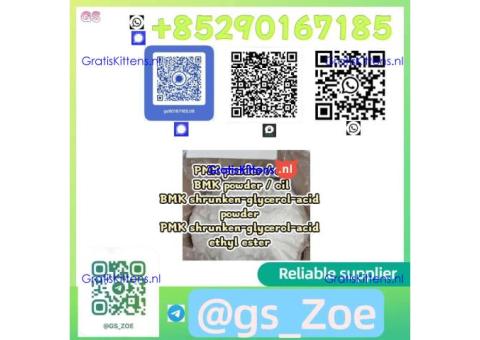 Laboratory-Grade PMK / BMK in Oil or Powder Form (CAS 718-08-1), ≥99%