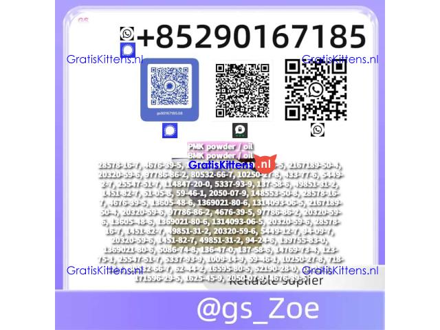 Laboratory-Grade PMK / BMK in Oil or Powder Form (CAS 718-08-1), ≥99%