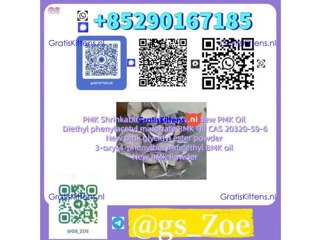 Laboratory-Grade PMK / BMK in Oil or Powder Form (CAS 718-08-1), ≥99%