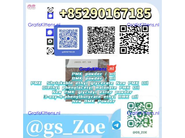 Laboratory-Grade PMK / BMK in Oil or Powder Form (CAS 718-08-1), ≥99%