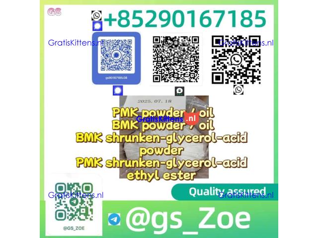 PMK Ethyl Glycidate (28578-16-7) and BMK Combined — Simplify Precursor Procurement.