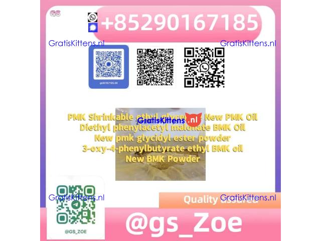 PMK + BMK Dual-Use Reagent, your All-in-One Solution (CAS 718-08-1)