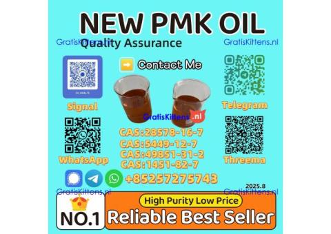 Reliable Supplier New Pmk Oil CAS 28578-16-7/5413-05-8/20320-59-6