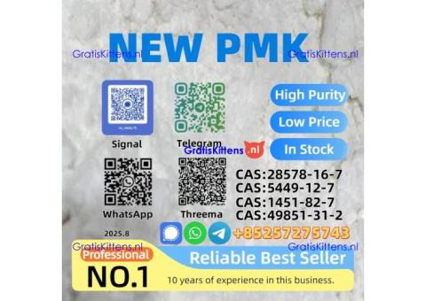 PMK Powder CAS 28578-16-7 Lab Tested Global Shipping