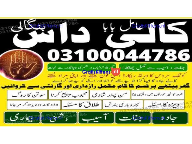kala jadu expert,  black magic expert,  kala jadu specialist,