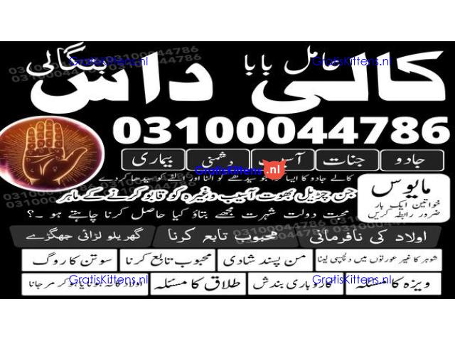 kala jadu expert,  black magic expert,  kala jadu specialist,