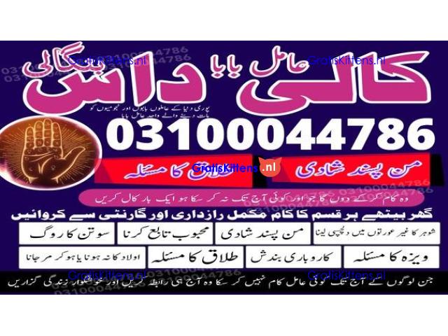 kala jadu expert,  black magic expert,  kala jadu specialist,