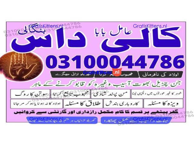 kala jadu expert,  black magic expert,  kala jadu specialist,