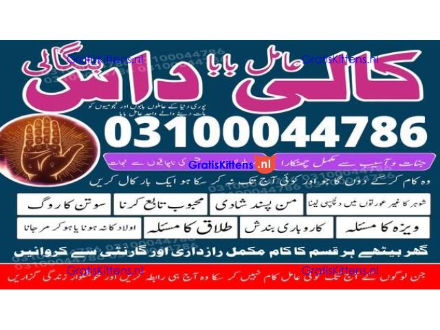 kala jadu expert,  black magic expert,  kala jadu specialist,