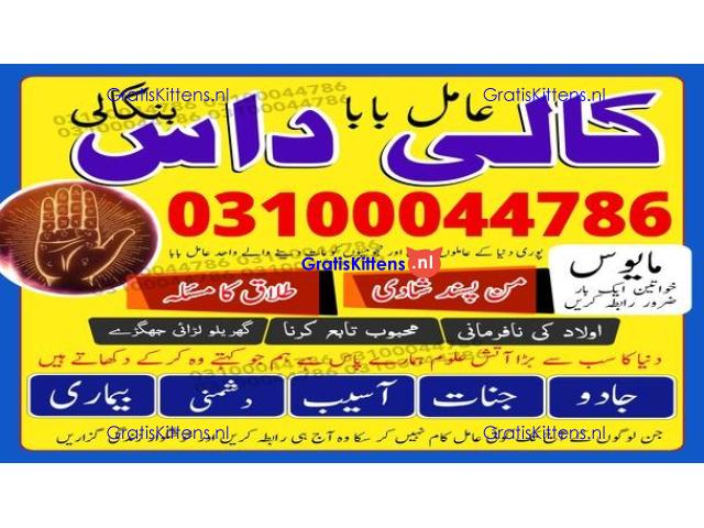 kala jadu expert,  black magic expert,  kala jadu specialist,