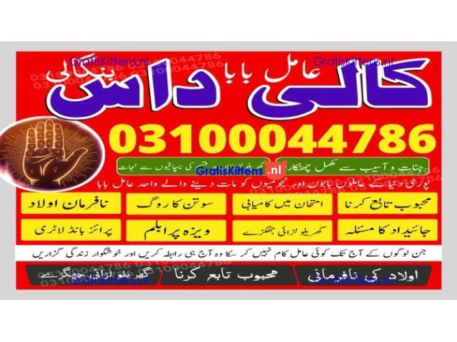 kala jadu expert,  black magic expert,  kala jadu specialist,