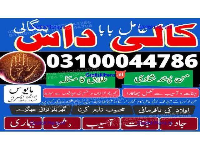 kala jadu expert,  black magic expert,  kala jadu specialist,