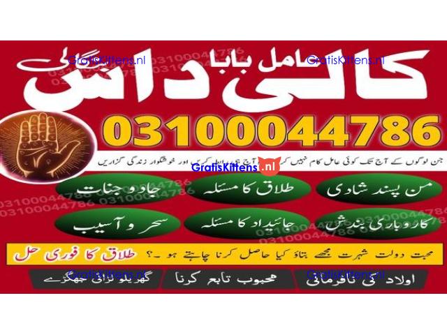 kala jadu expert,  black magic expert,  kala jadu specialist,