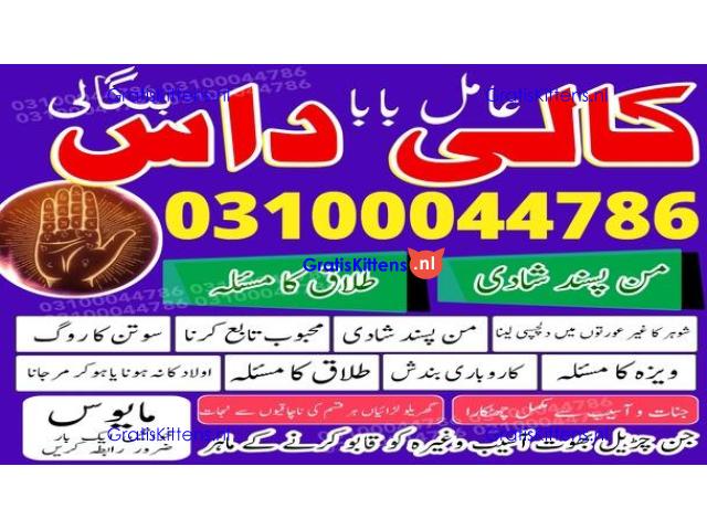 kala jadu expert,  black magic expert,  kala jadu specialist,