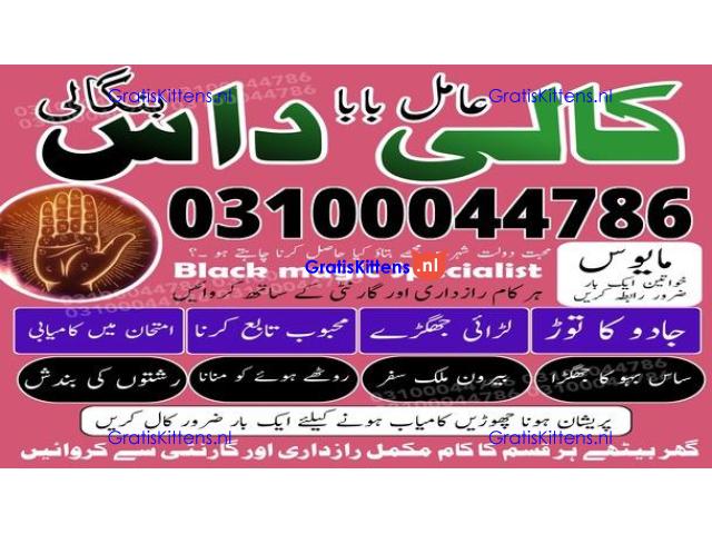 kala jadu expert,  black magic expert,  kala jadu specialist,