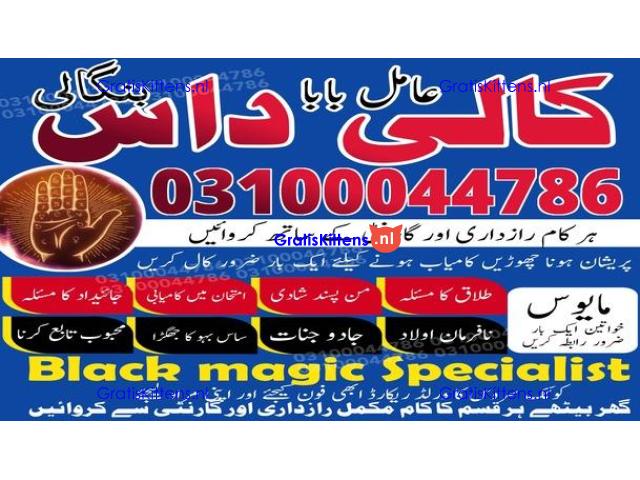 kala jadu expert,  black magic expert,  kala jadu specialist,