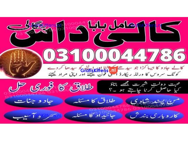 kala jadu expert,  black magic expert,  kala jadu specialist,