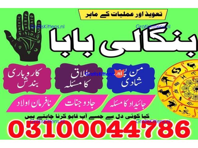 kala jadu expert,  black magic expert,  kala jadu specialist,