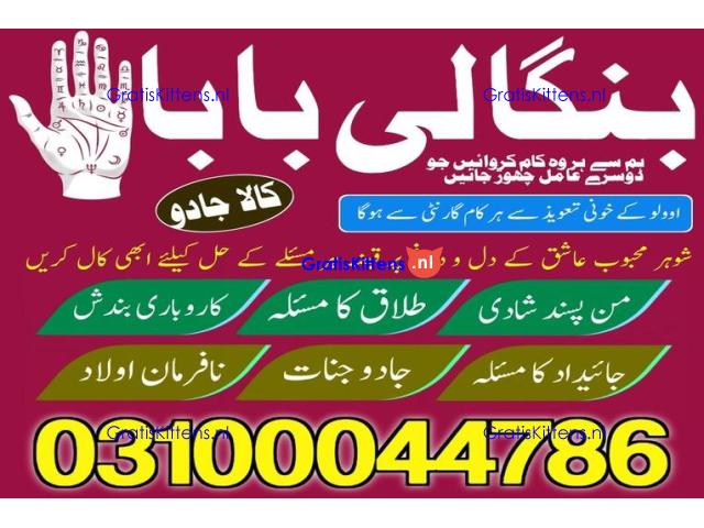 kala jadu expert,  black magic expert,  kala jadu specialist,