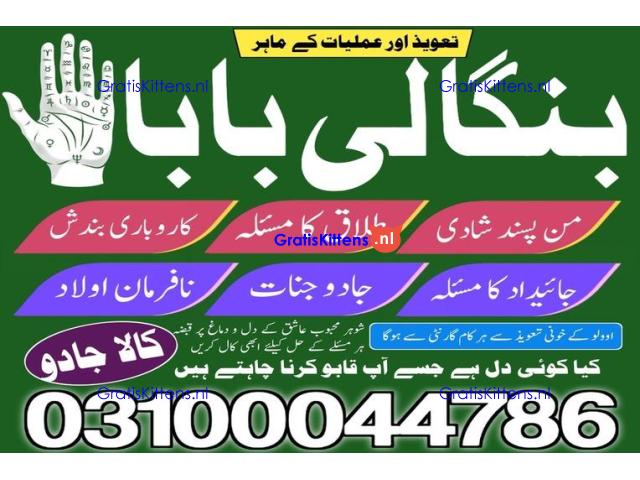 kala jadu expert,  black magic expert,  kala jadu specialist,
