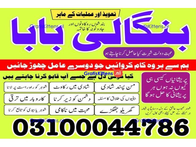 kala jadu expert,  black magic expert,  kala jadu specialist,