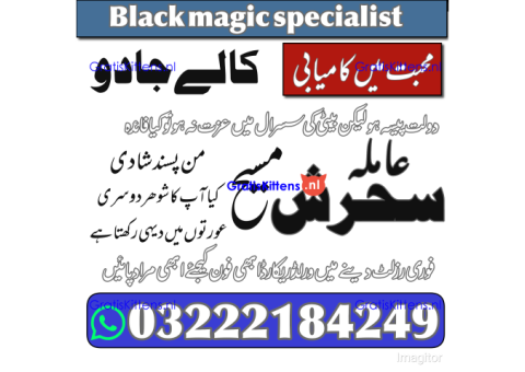 Amila Sehrish – Kala Jadu Specialist & Love Marriage Expert call now 03222184249