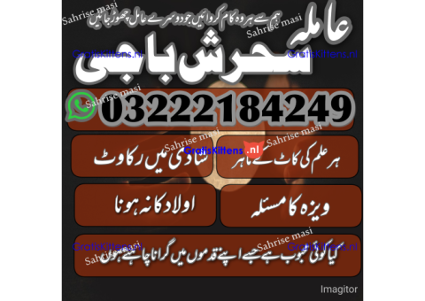 AMILBABA ,KARACHI AMILBABA LONDON,BLACKMAGIC SPECIALIST ONLINE AMERICA N1 AMILBABA