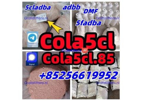 5cladba adbb 5f Cannabinoid MDMB -4en-PINACA best supplier
