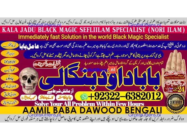 A17 online istikhara for love marriage vashikaran specialist love problem solution astrologer