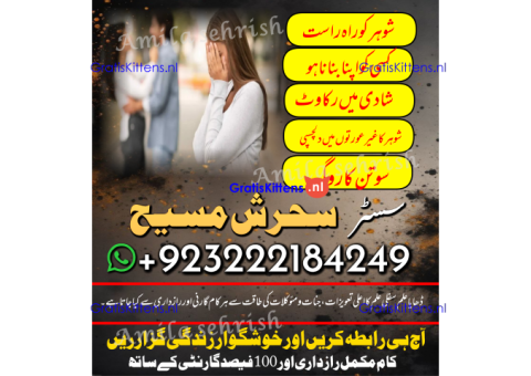 TANTER,MANTER EXPERT AMILBABA AMLIYAT SPECIALIST AMIL IN KARACHI/ONLINE FAMOUSE ASTROLOGER