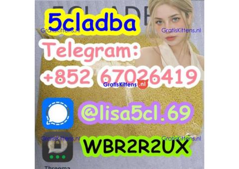 Strongest 5cladba Raw Material 5CL-ADB Precursor