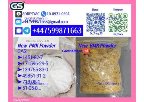 Quality-Assured P M K 28578-16-7 B M K 5449-12-7 Reliable Provider