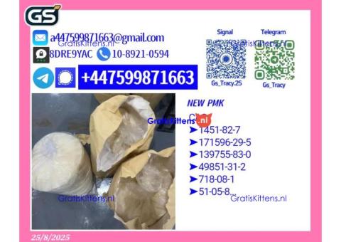 Versatile PMK 28578-16-7 BMK 5449-12-7 Multi-Use Supply
