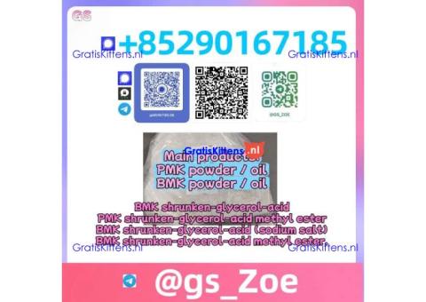 ✅ [New PMK (28578-16-7) + New BMK (5449-12-7)] --Sodium salt esters • Samples provided • Order now