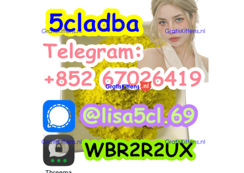 5cladba precursor adbb powder 5fadb raw material supply