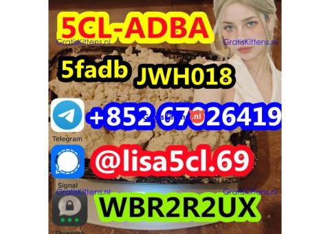 5CL-ADB powder supplier 5cl adb 5cladba 5cl raw materials in stock