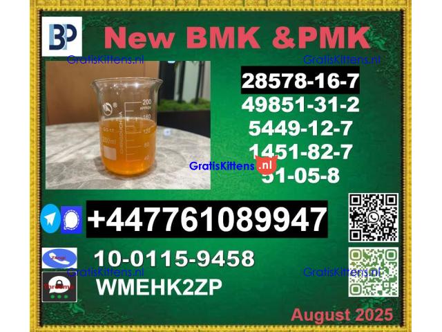 New P.M.K 28578-16-7 B.M.K Powder 5449-12-7 Versatile Oil and Powder