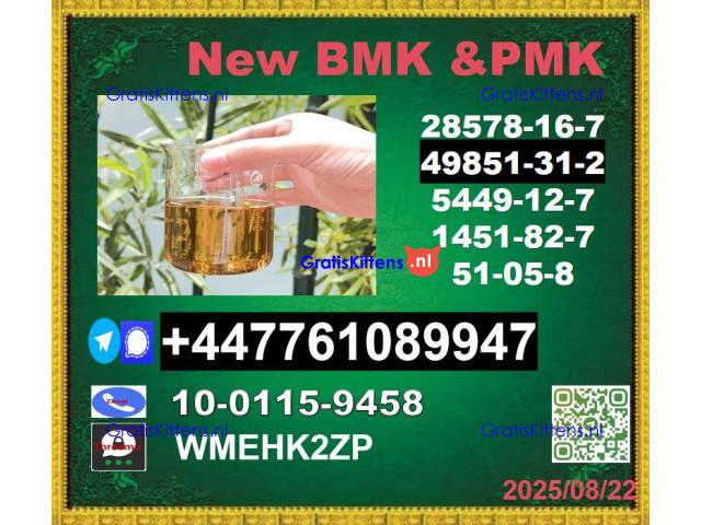 Supply sample 49851-31-2 BVF 2-Bromo-1-Phenyl-Pentan-1-One&BMK 5449-12-7 & PMK 28578-16-7