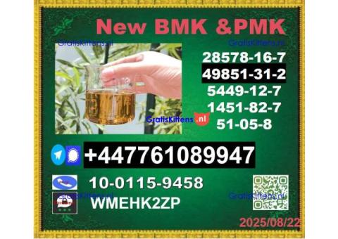 Top leading 49851-31-2 BVF 2-Bromo-1-Phenyl-Pentan-1-One&BMK 5449-12-7 & PMK 28578-16-7