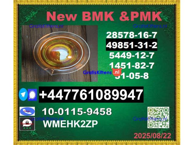 Top leading 49851-31-2 BVF 2-Bromo-1-Phenyl-Pentan-1-One&BMK 5449-12-7 & PMK 28578-16-7