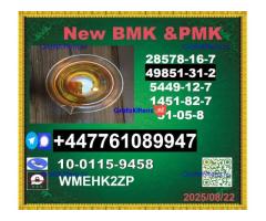 Top leading 49851-31-2 BVF 2-Bromo-1-Phenyl-Pentan-1-One&BMK 5449-12-7 & PMK 28578-16-7