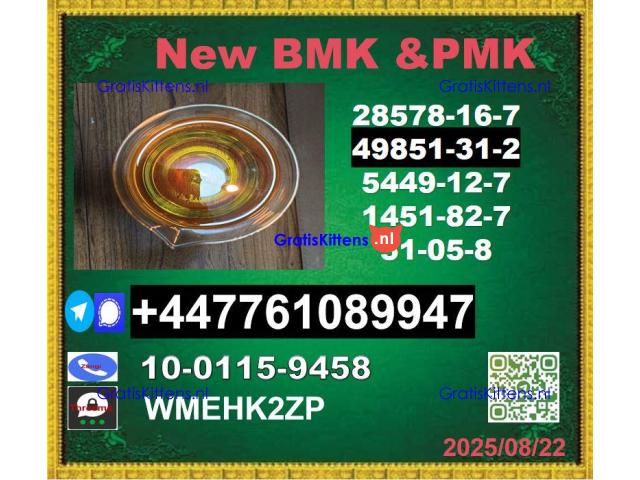 Top leading 49851-31-2 BVF 2-Bromo-1-Phenyl-Pentan-1-One&BMK 5449-12-7 & PMK 28578-16-7
