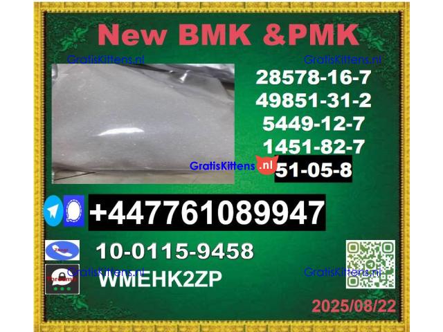 51-05-8 Procaine BMK 5449-12-7 & PMK 28578-16-7 AND pmk ethyl glycidate,BMK Glycidic Acid