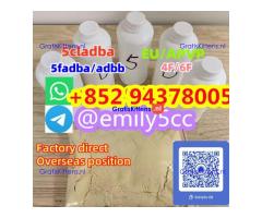 5cladba 5f-adb adbb 5-cl-adb-a 5cladb jwh018 5fadb cas1119-51-3