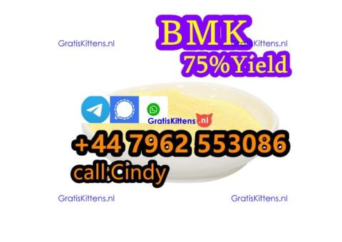 New pmk powder 28578-16-7,new b,m,k powder 5449-12-7,Chemical raw meterials