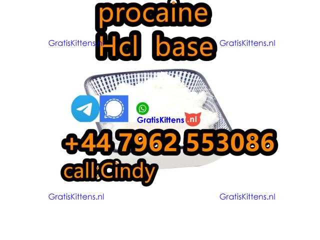selling Procaine base CAS 59-46-1 /51-05-8 / procaine hcl and base sale Holland