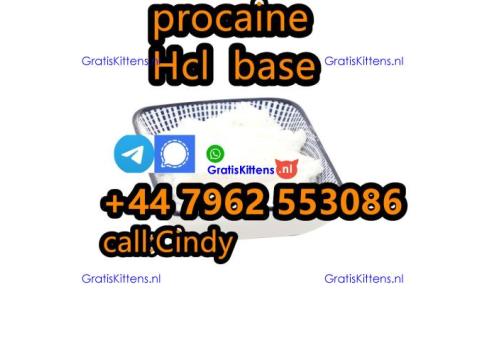 selling Procaine base CAS 59-46-1 /51-05-8 / procaine hcl and base sale Holland